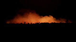 Докато пожарите бушуват в части от Амазония Мидже Каяпо седеше