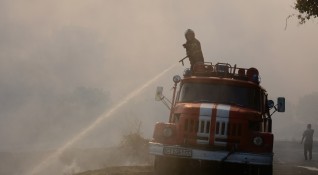 Пожар изпепели 62 декара борова гора от парк Аязмото днес
