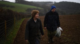 Фермите във Великобритания търсят между 60 хил и 70 хил