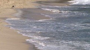 Чешки турист се е удавил вчера в морето край Поморие