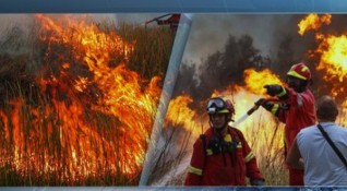 Пожар изпепели читалището в село Катрище край Кюстендил Унищожена е