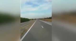 Шофьор самоубиец бе заснет да кара в насрещното движение на АМ