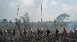 Тропическите гори в Амазония не са напът да изгорят и