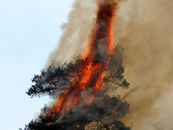 Пожар гори в района на Сухото езеро в планината Рила.