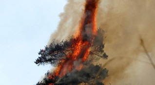 Пожар гори в района на Сухото езеро в планината Рила