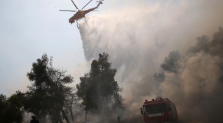 Над 160 огнеборци се борят да овладеят голям пожар който