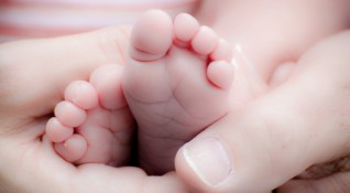 Почти 21 000 българи пазят стволови клетки от децата си