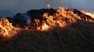 Над хиляда декара сухи треви горят край самоковското село Алино