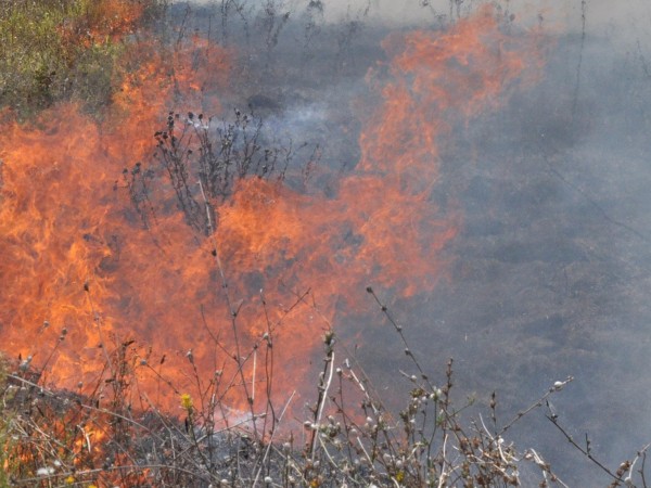 Големият пожар в Рила най-вероятно е причинен от човешка небрежност