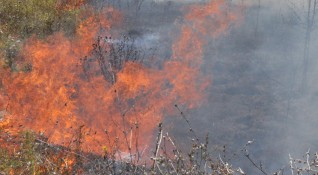 Големият пожар в Рила най вероятно е причинен от човешка