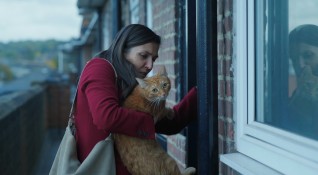 Премиера на новия български филм Котка в стената е сред