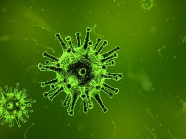 Вирусът на морбили атакува имунната система както и вирусът на
