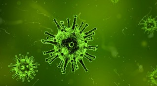 Вирусът на морбили атакува имунната система както и вирусът на