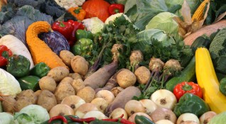 На 1 килограм изнесен български плод или зеленчук внасяме 7