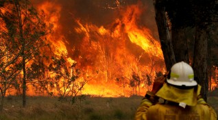 Жертвите на опустошителните пожари които бушуват в Австралия от петък