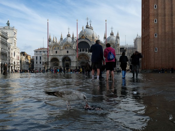 Туристите и жителите на Венеция днес получиха отново разрешение да