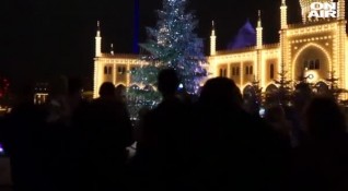 Коледна елха украсена с 3 000 Сваровски кристали вече краси