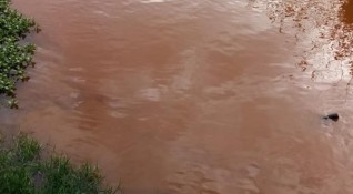 РИОСВ Перник установи източника на замърсяване на река Струма