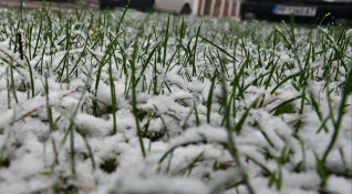 Снежната покривка по високите места в област Смолян достига 30