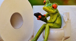 Учени от Австралия телефонират на жаби с цел да ги