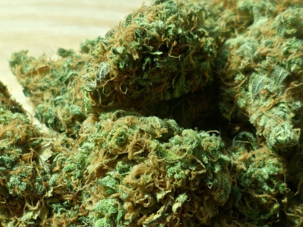 Около 4 кг марихуана са иззети при спецакция в Пловдив,