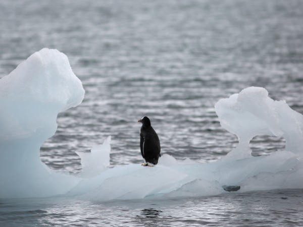 Най-ниската точка на земята беше открита в Източна Антарктида под