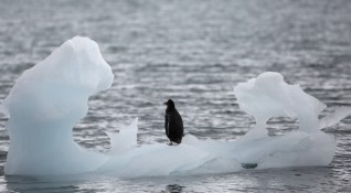 Най ниската точка на земята беше открита в Източна Антарктида под