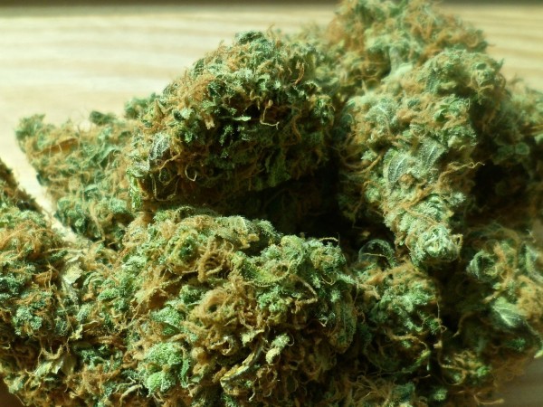140 кг марихуана на стойност над 1 млн. лева е