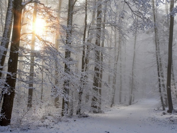 Астрономическата зима започва тази сутрин в България - в 6
