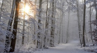 Астрономическата зима започва тази сутрин в България в 6