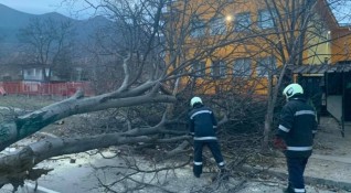 През изминалото денонощие скоростта на вятъра в община Враца и