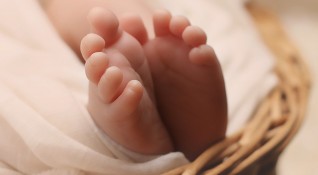 Три бебета проплакаха в навечерието на Рождество в болница Шейново