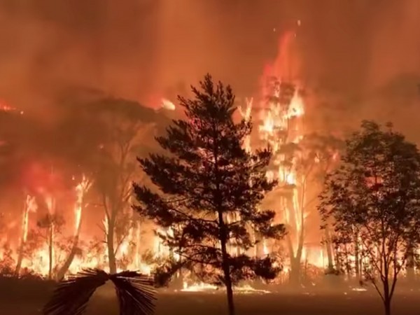 Битката на австралийските власти с горските пожари из страната продължава.