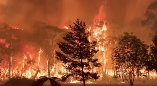 Битката на австралийските власти с горските пожари из страната продължава