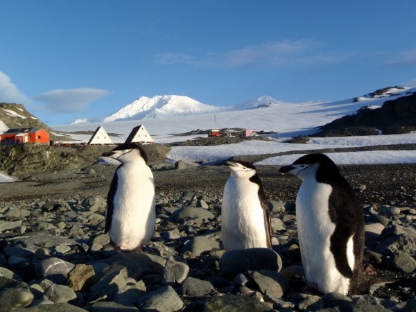 Последната група на 28-та Национална Антарктическа Експедиция заминава днес за