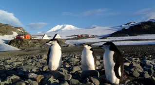Последната група на 28 та Национална Антарктическа Експедиция заминава днес за