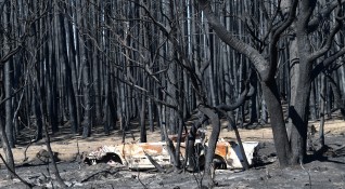 Няма данни за засегнати или застрашени български граждани при горските