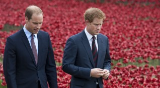 Принц Уилям изрази надежда че кралското семейство ще бъде отново
