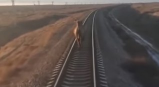 Влак в югоизточна Русия беше забавен за почти час заради