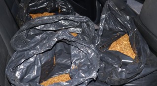 Полицията в Плевен откри и иззе над 110 килограма тютюн