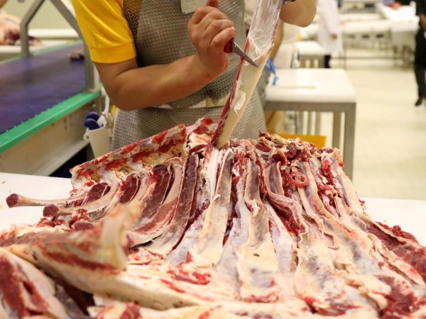 Стотици българи в едно германско месопреработвателно предприятие са били третирани