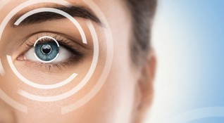 Очите са важен орган от нашето тяло който има изключително
