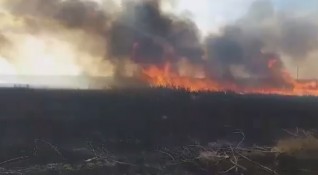 Пожар засегна северната част на Орлово блато част от