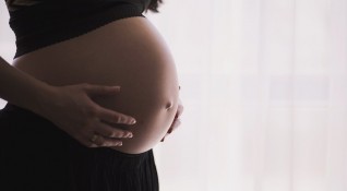 Визови ограничения за бременни жени въвеждат Съединените щати Целта на