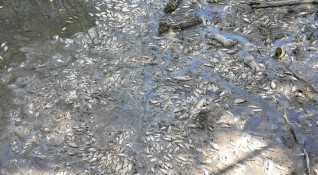 Замърсяването на река Марица е с пестициди и е най тежкото