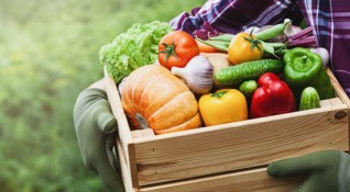 Зеленчуците и ядките са едни от най здравословните продукти които задължително