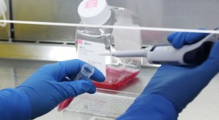 Учените успяха да дешифрират генетичната информация за 38 вида ракови