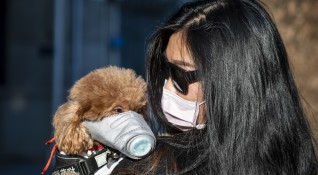 Технологичният център в Шенжен Южен Китай забранява консумацията на кучета