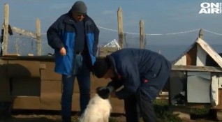 Протест на природозащитници и жители на Несебър пред кучешкия приют