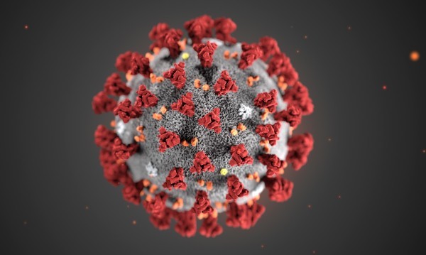 За денонощие - 2223 нови случая на заразени с коронавирус в света